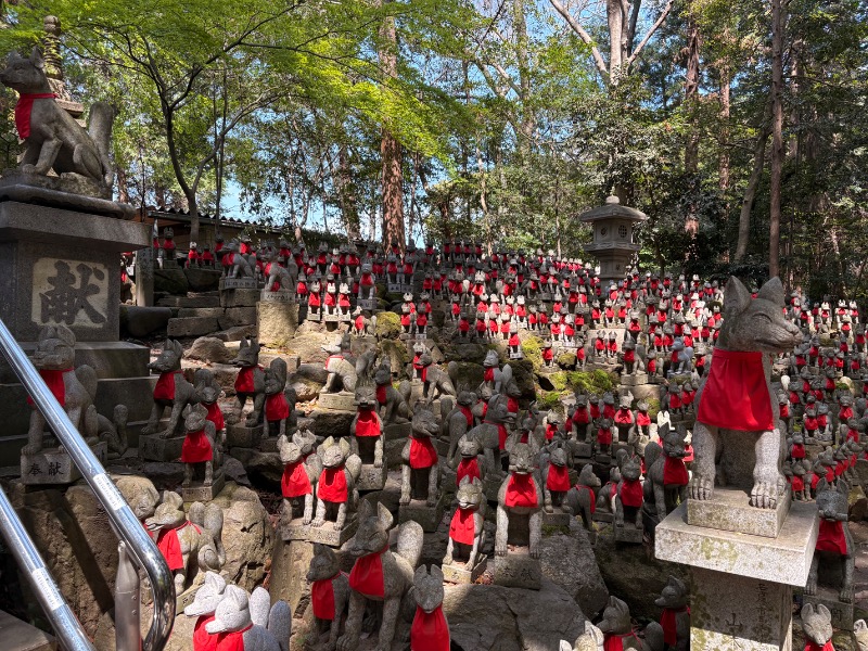 kanetama('ω')さんの天然温泉 本宮の湯のサ活写真