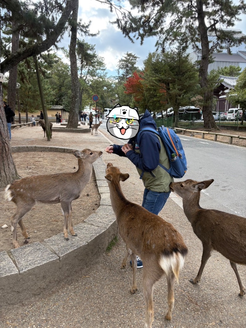 kanetama('ω')さんの天然温泉 吉野桜の湯 御宿 野乃奈良のサ活写真