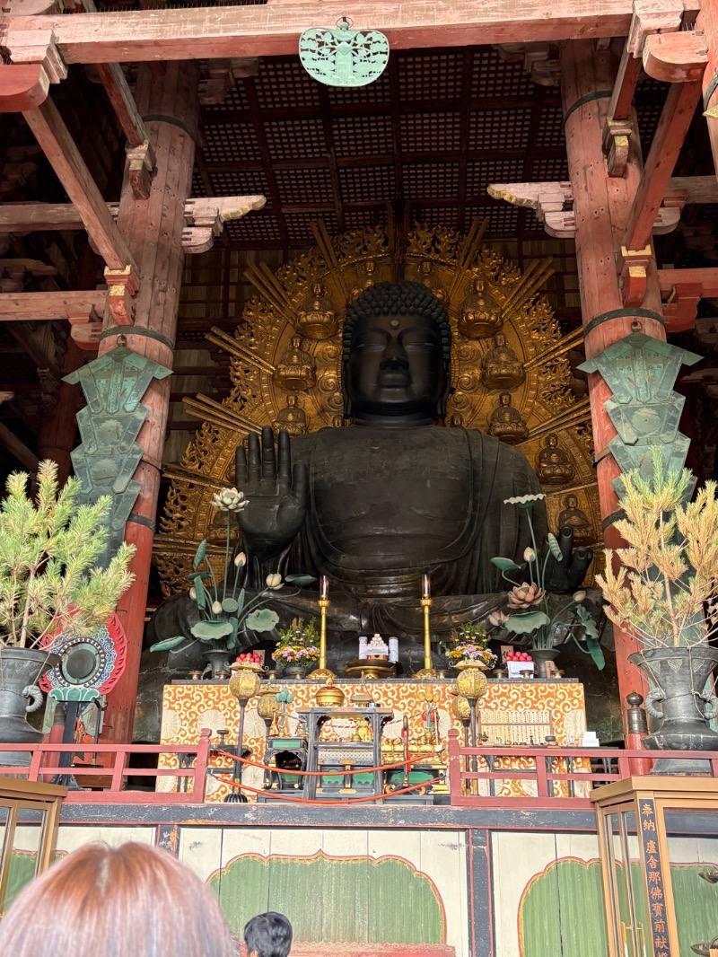 kanetama('ω')さんの天然温泉 吉野桜の湯 御宿 野乃奈良のサ活写真