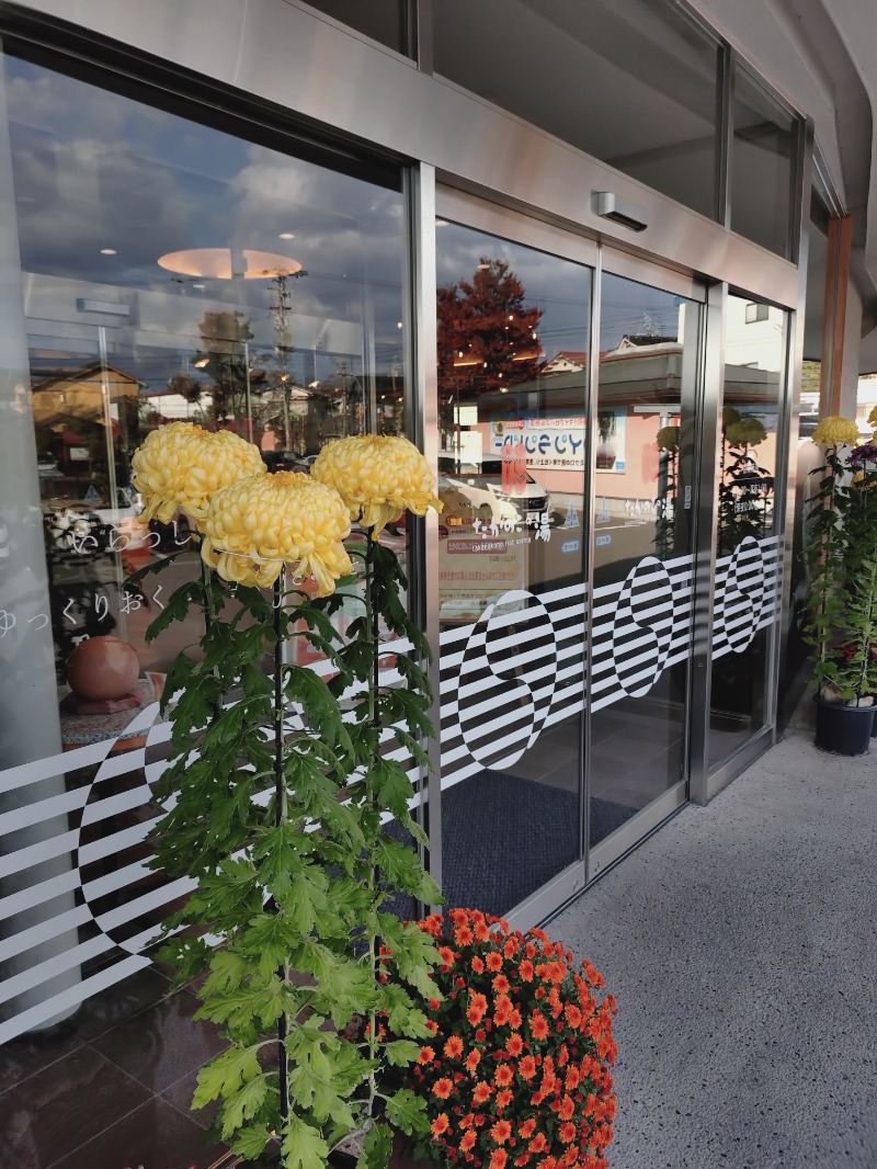 かねおさんのたかのこの湯(たかのこのホテル)のサ活写真