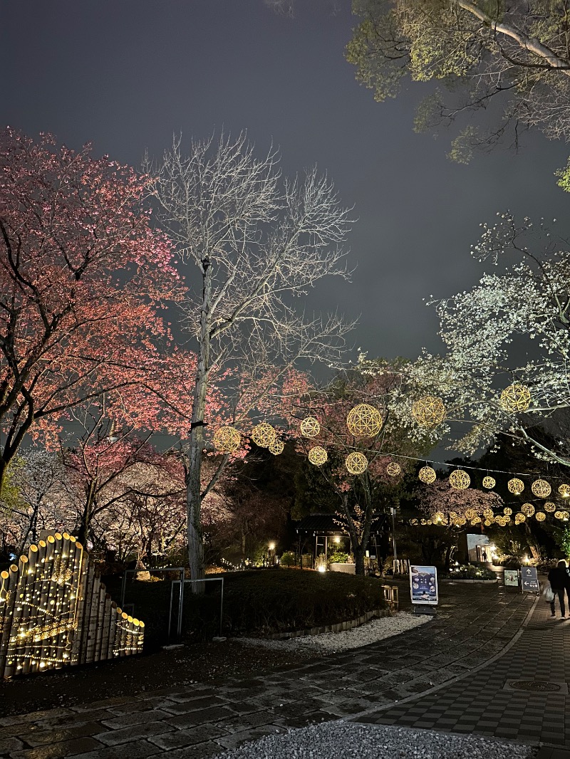🈂️トウさんのよみうりランド眺望温泉 花景の湯のサ活写真