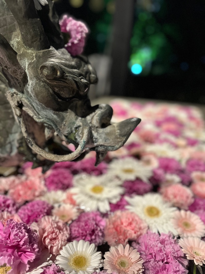 🈂️トウさんのよみうりランド眺望温泉 花景の湯のサ活写真