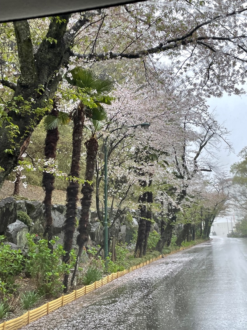 セッキー（『やサ活』始めました）さんのホテルヘリテイジ 四季の湯温泉のサ活写真