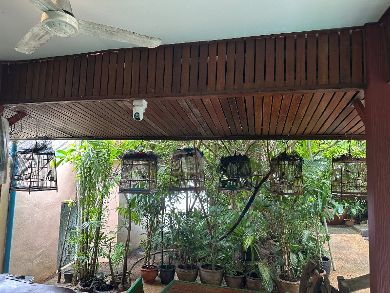 孤島さんのBoonrang Nanai Saunaのサ活写真