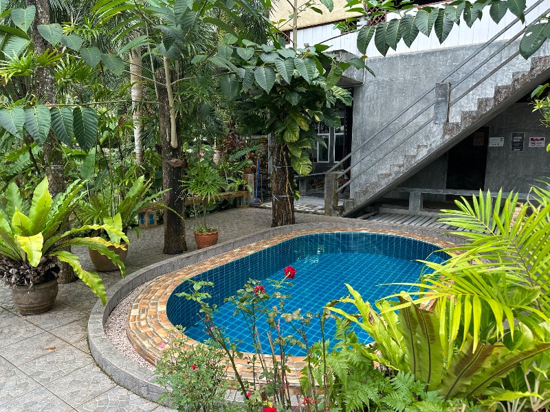 孤島さんのカトゥ・ハーブサウナ (Kathu Herb Sauna)のサ活写真