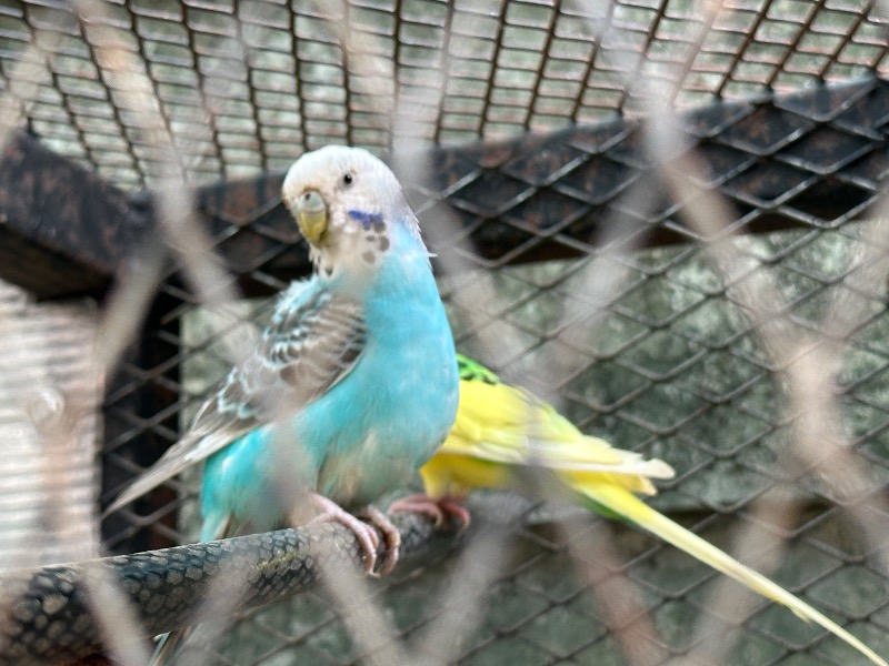 孤島さんのZeus Saunaのサ活写真