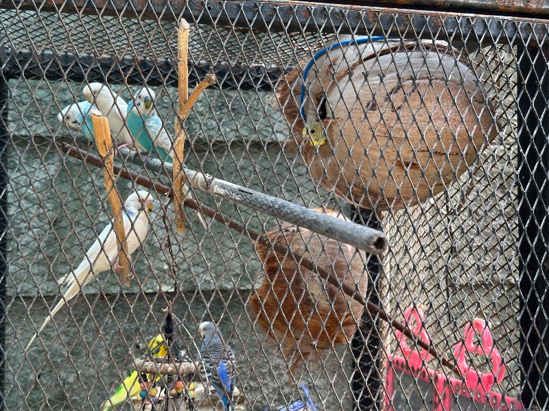 孤島さんのZeus Saunaのサ活写真