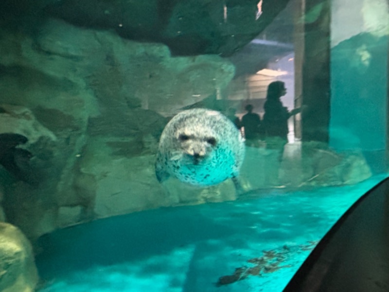 ゆき🍄さんの潮騒の湯のサ活写真