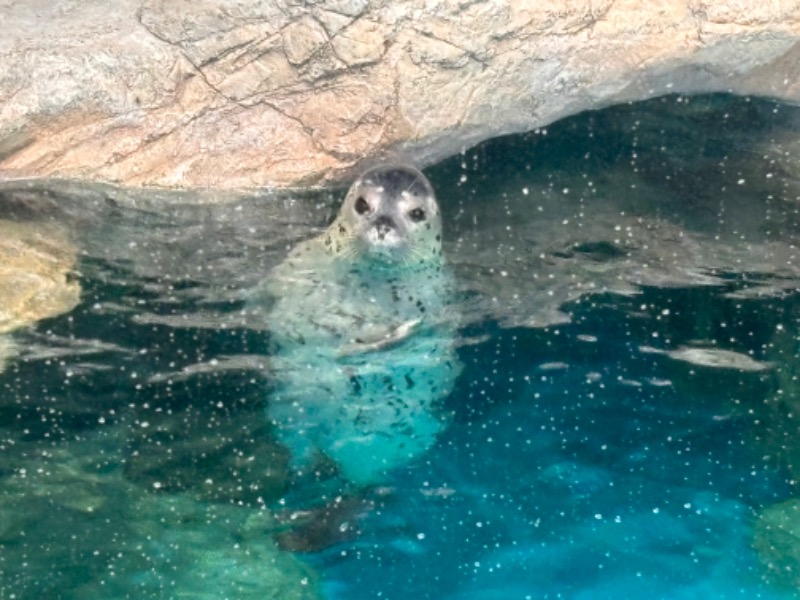 ゆき🍄さんの潮騒の湯のサ活写真