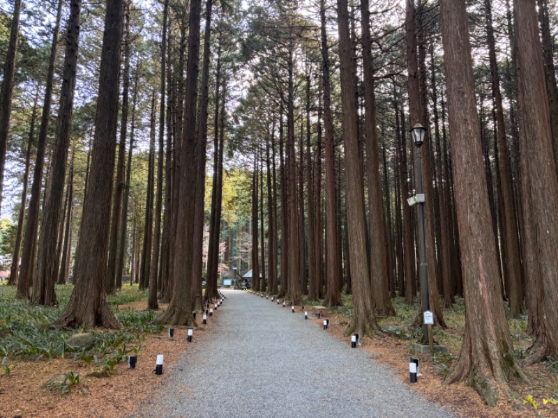 ゆき🍄さんの天然温泉 富士桜の湯 ドーミーインEXPRESS富士山御殿場のサ活写真