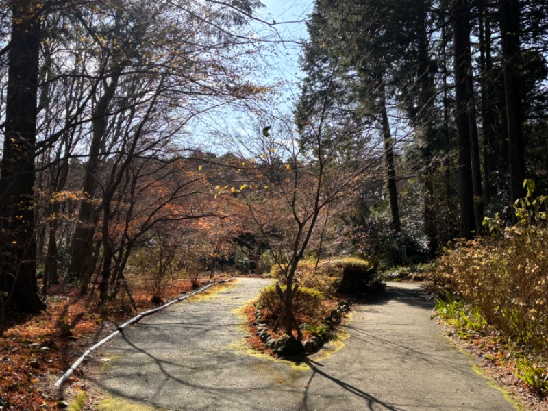 ゆき🍄さんの天然温泉 富士桜の湯 ドーミーインEXPRESS富士山御殿場のサ活写真