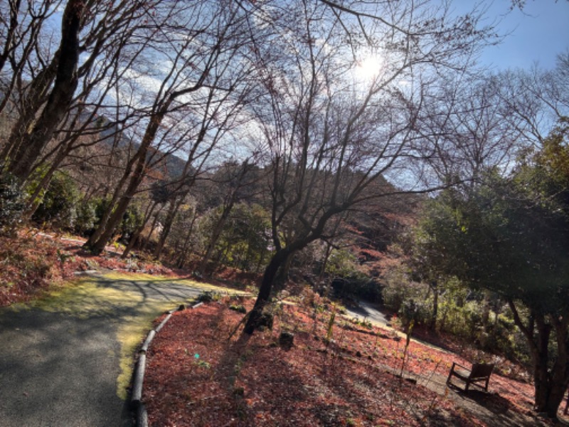 ゆき🍄さんの天然温泉 富士桜の湯 ドーミーインEXPRESS富士山御殿場のサ活写真