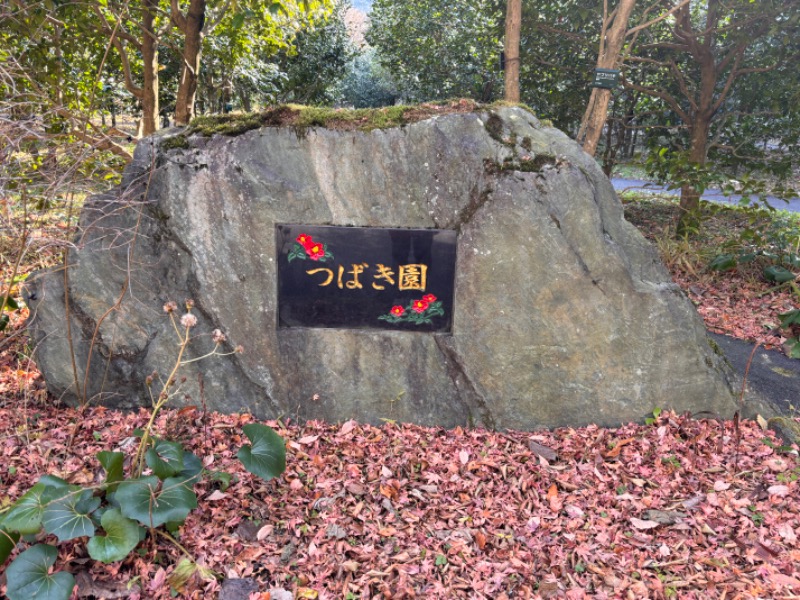 ゆき🍄さんの天然温泉 富士桜の湯 ドーミーインEXPRESS富士山御殿場のサ活写真