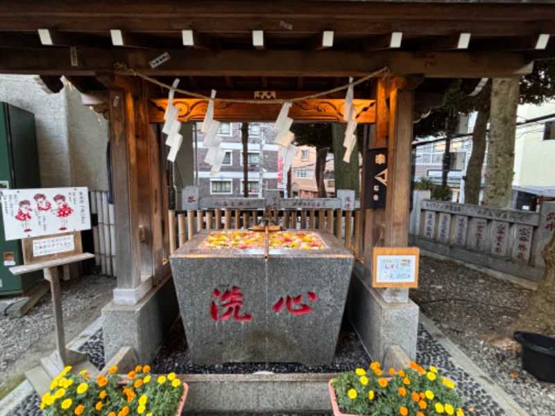 ゆき🍄さんの天然温泉 湯どんぶり栄湯のサ活写真