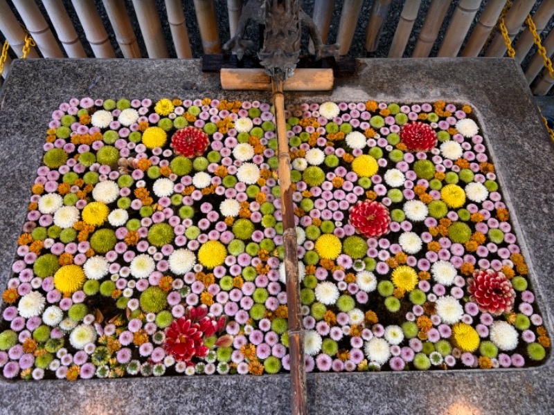 ゆき🍄さんの天然温泉 湯どんぶり栄湯のサ活写真