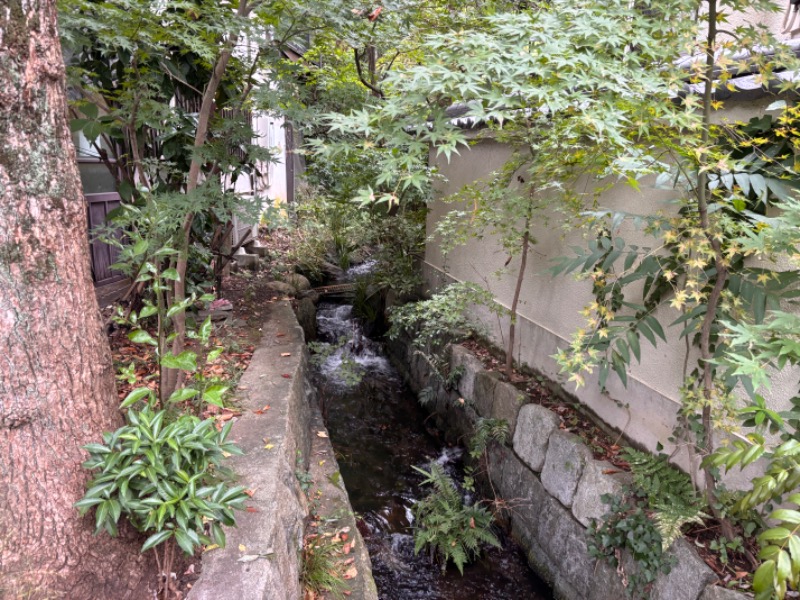 ゆき🍄さんの湯の森 深大湯のサ活写真