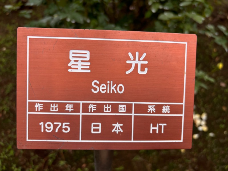 ゆき🍄さんの湯の森 深大湯のサ活写真