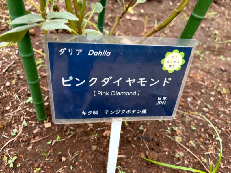 ゆき🍄さんの湯の森 深大湯のサ活写真