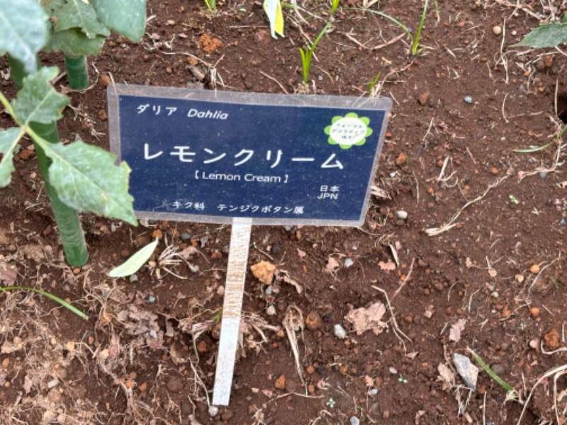 ゆき🍄さんの湯の森 深大湯のサ活写真