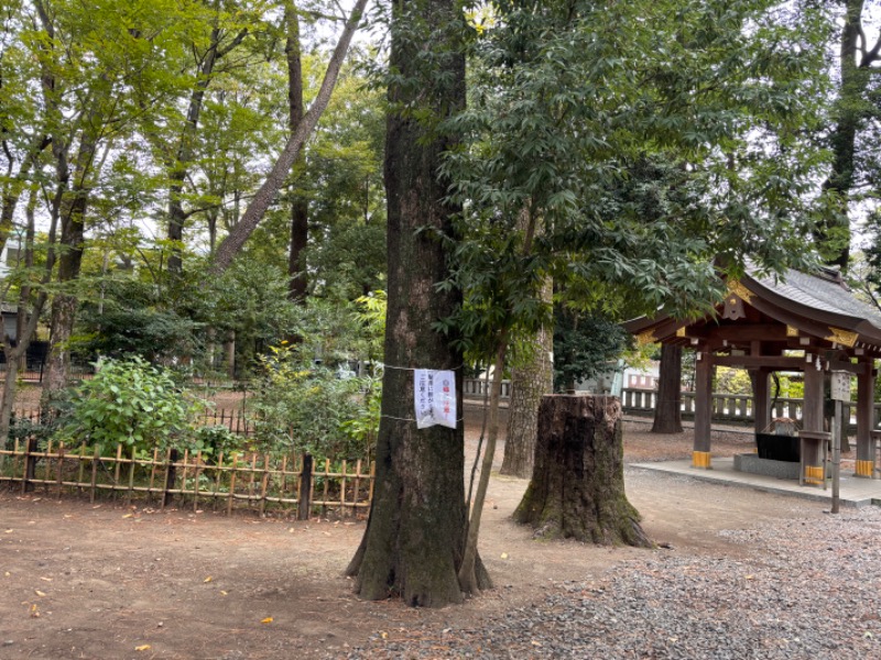 ゆき🍄さんの湯の森 深大湯のサ活写真