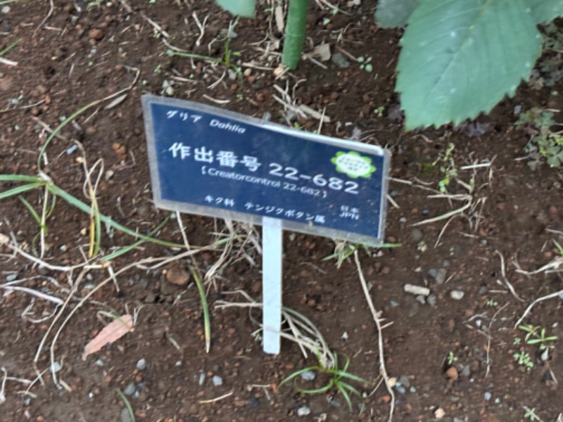 ゆき🍄さんの湯の森 深大湯のサ活写真