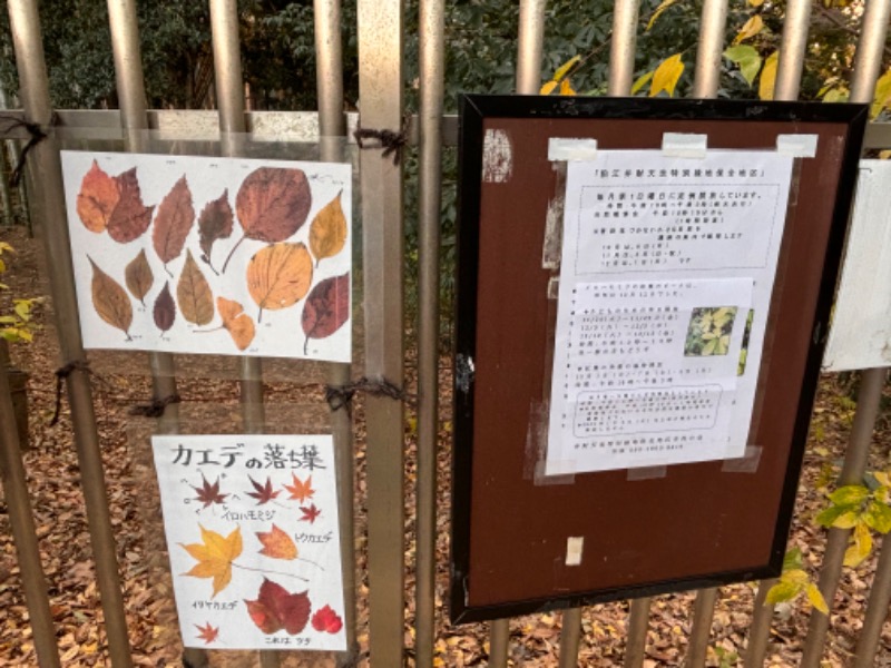 ゆき🍄さんの富の湯のサ活写真