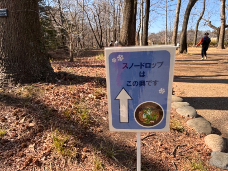 ゆき🍄さんのバーデンプレイスのサ活写真