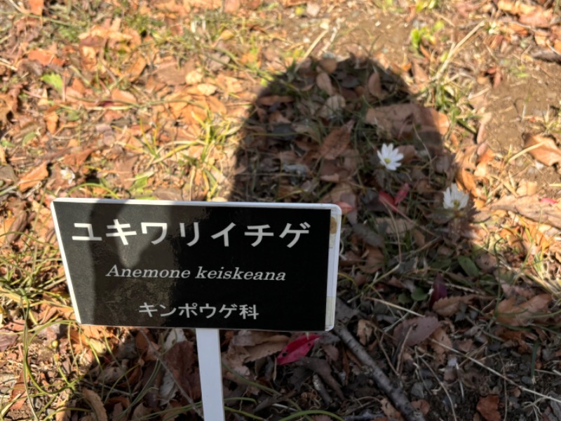 ゆき🍄さんのバーデンプレイスのサ活写真