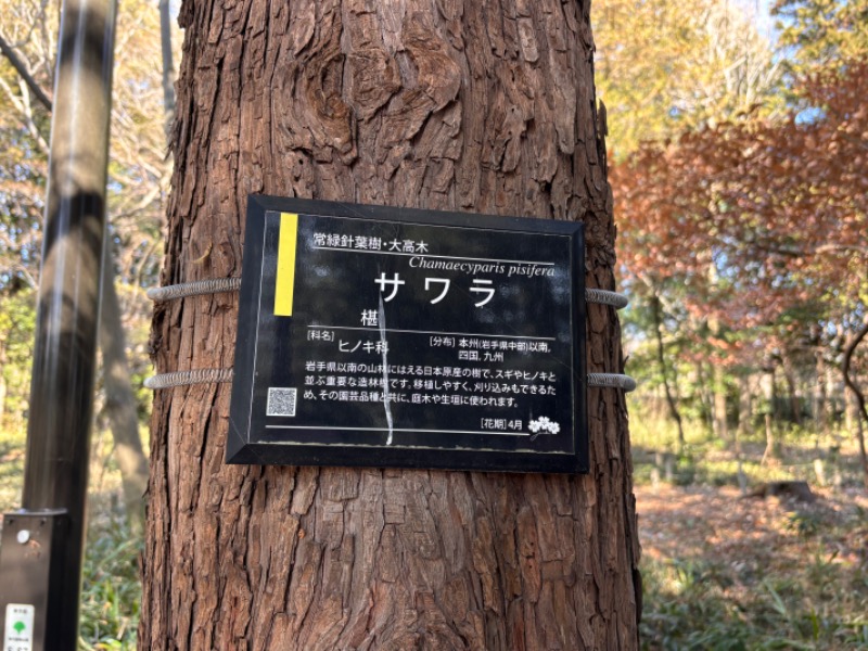 ゆき🍄さんのバーデンプレイスのサ活写真