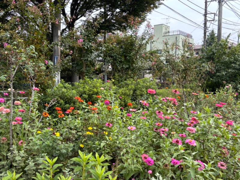 ゆき🍄さんのおふろの王様 瀬谷店のサ活写真