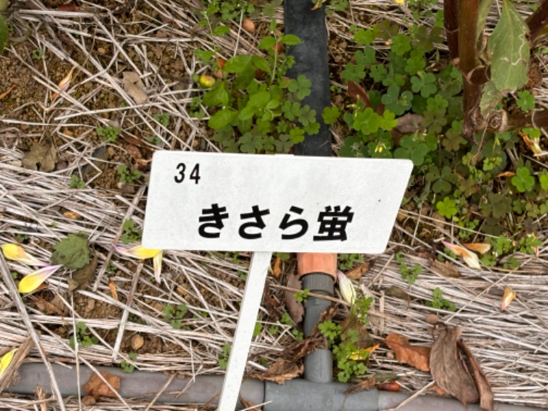 ゆき🍄さんのおふろの王様 高座渋谷駅前店のサ活写真