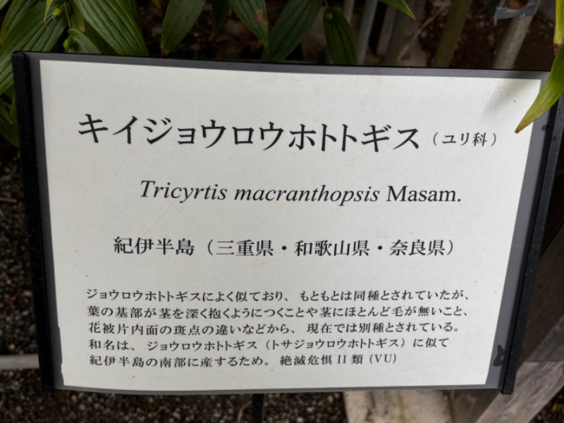 ゆき🍄さんの天然温泉 小田原コロナの湯のサ活写真