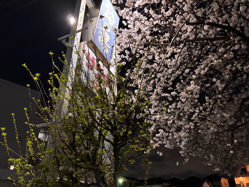 ゆき🍄さんの鈴の湯のサ活写真