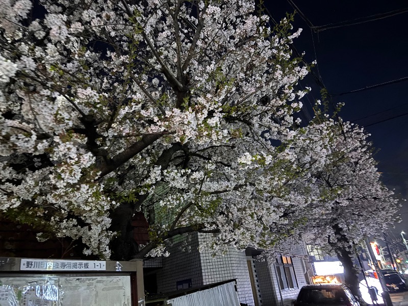 ゆき🍄さんの鈴の湯のサ活写真