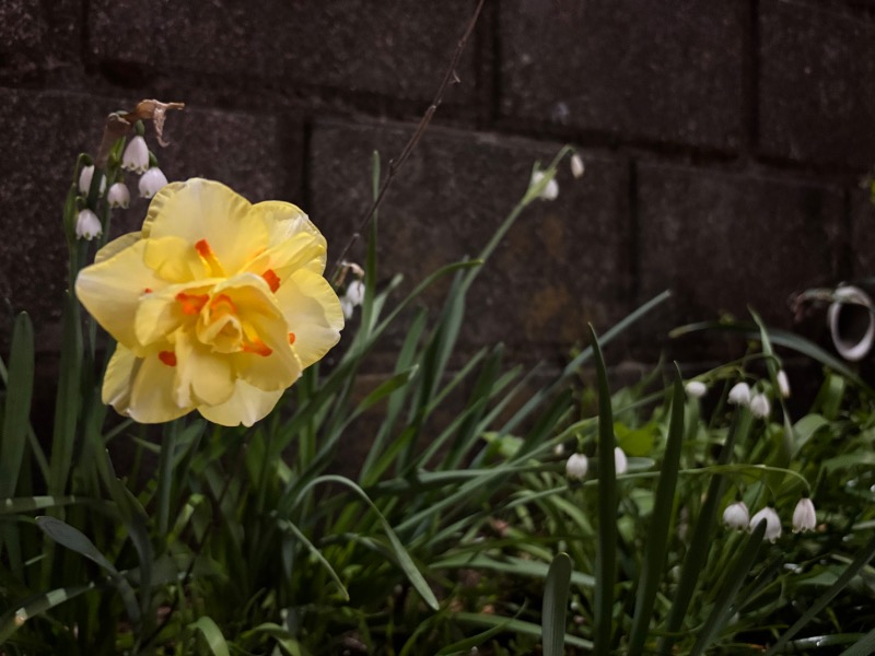 ゆき🍄さんの鈴の湯のサ活写真