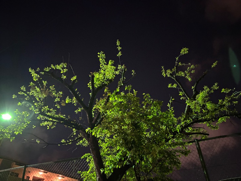 ゆき🍄さんの鈴の湯のサ活写真