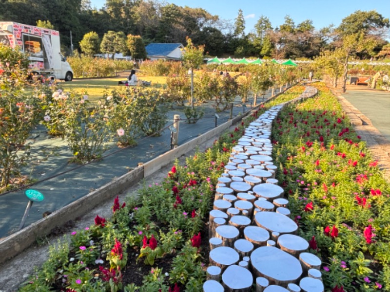 ゆき🍄さんの宿河原浴場のサ活写真