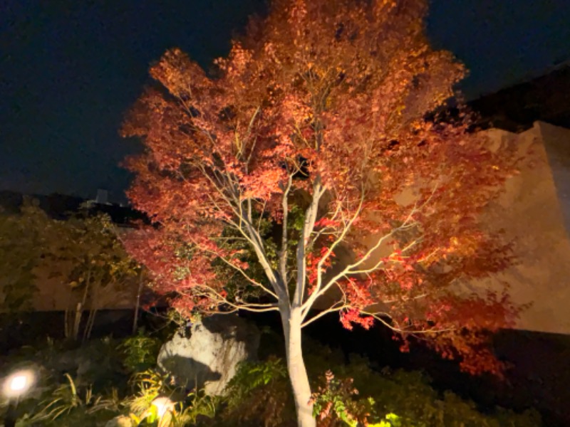 ゆき🍄さんの横浜青葉温泉 喜楽里別邸のサ活写真