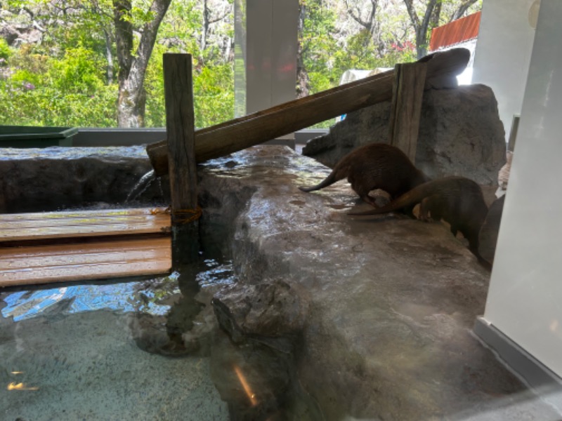 顔ハメは絶対やるのよさんのよみうりランド眺望温泉 花景の湯のサ活写真