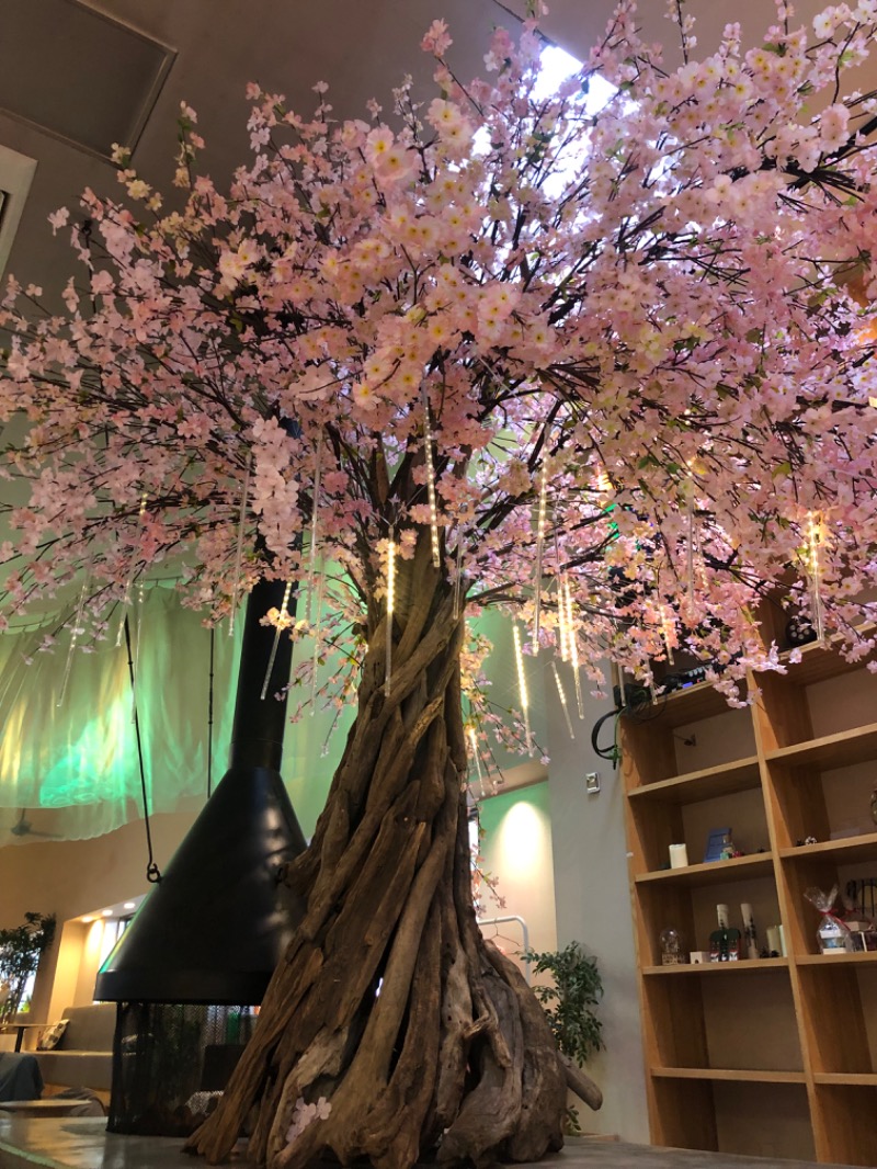 ✿(◍ ´꒳` ◍).*✿ｻｳﾅｲｺさんのおふろcafé utataneのサ活写真