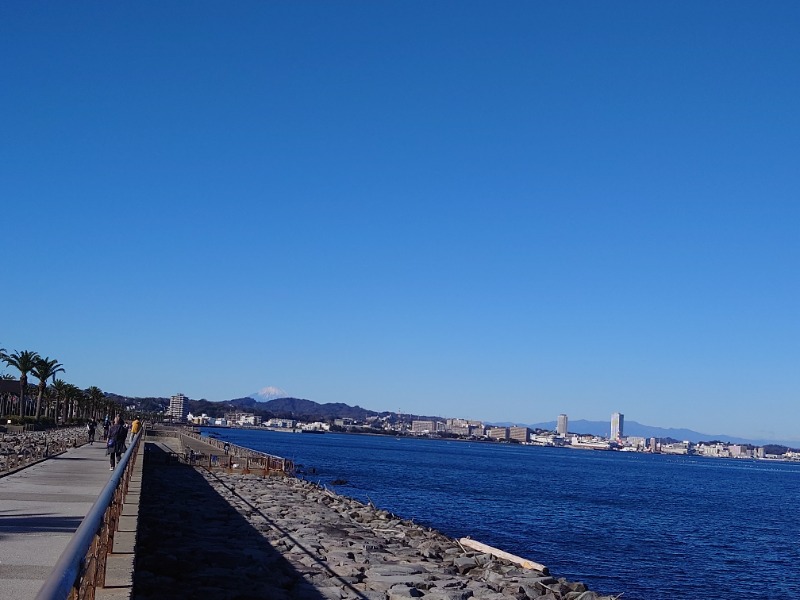 mittanさんの横須賀温泉 湯楽の里のサ活写真