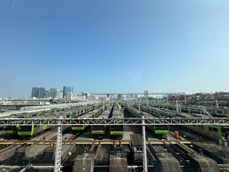 バネサウナーさんのサウナメッツァ 大井町トラックスのサ活写真