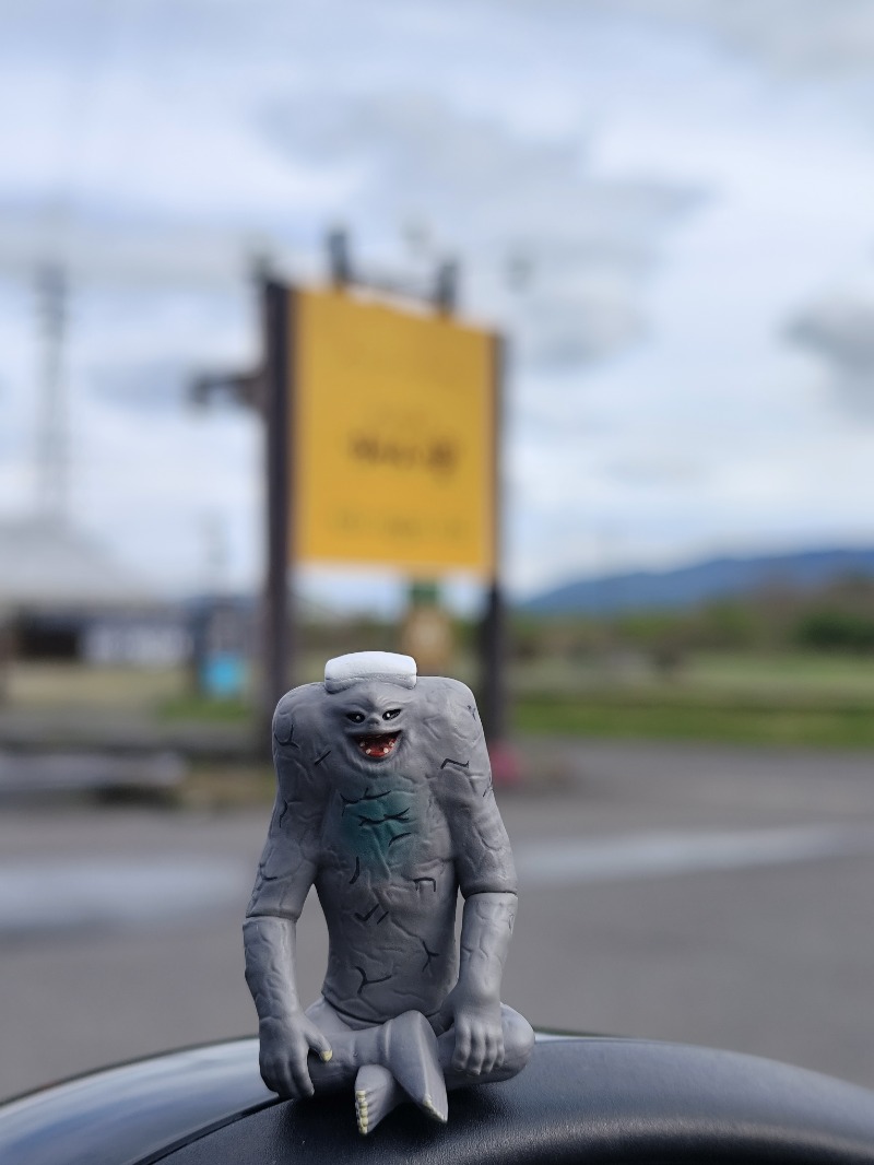 ペンペンさんの養老温泉 ゆせんの里のサ活写真