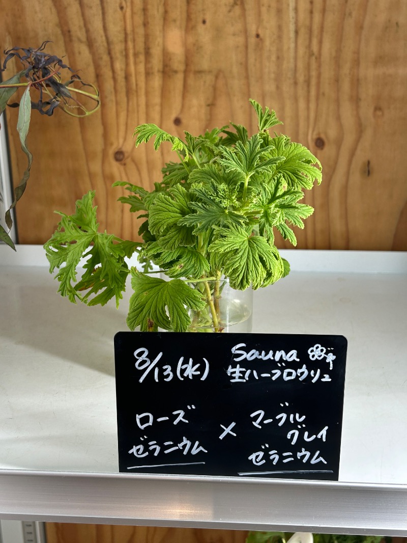 なろちさんの岐阜各務原 恵みの湯のサ活写真