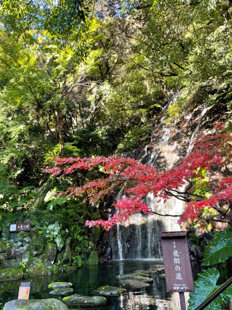 虫親父さんの箱根湯本温泉 天成園のサ活写真