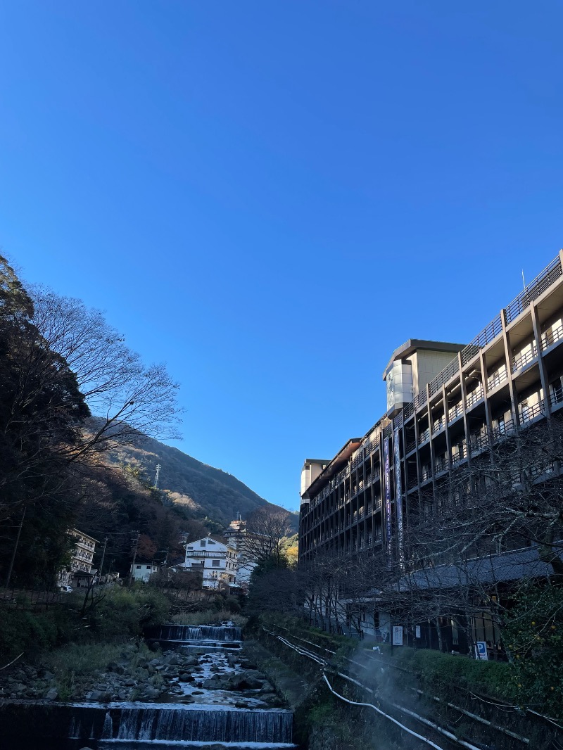 虫親父さんの箱根湯本温泉 天成園のサ活写真