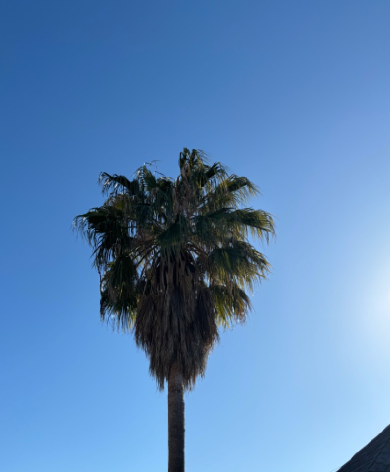 𝕂𝕖ℕ𝕓𝕠さんの天然温泉 スパロイヤル川口のサ活写真