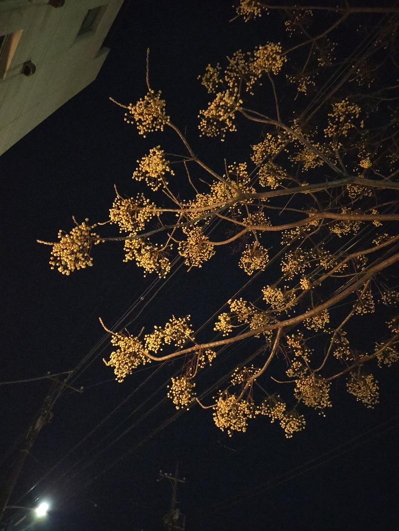 romeoさんの横浜天然温泉くさつのサ活写真