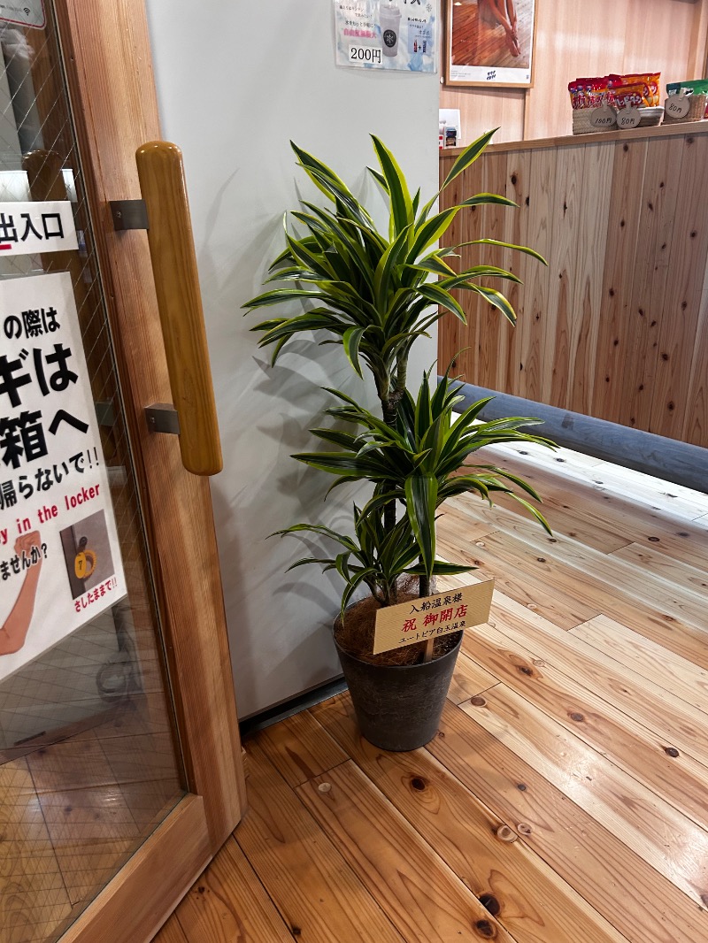 ちーさんの入船温泉のサ活写真