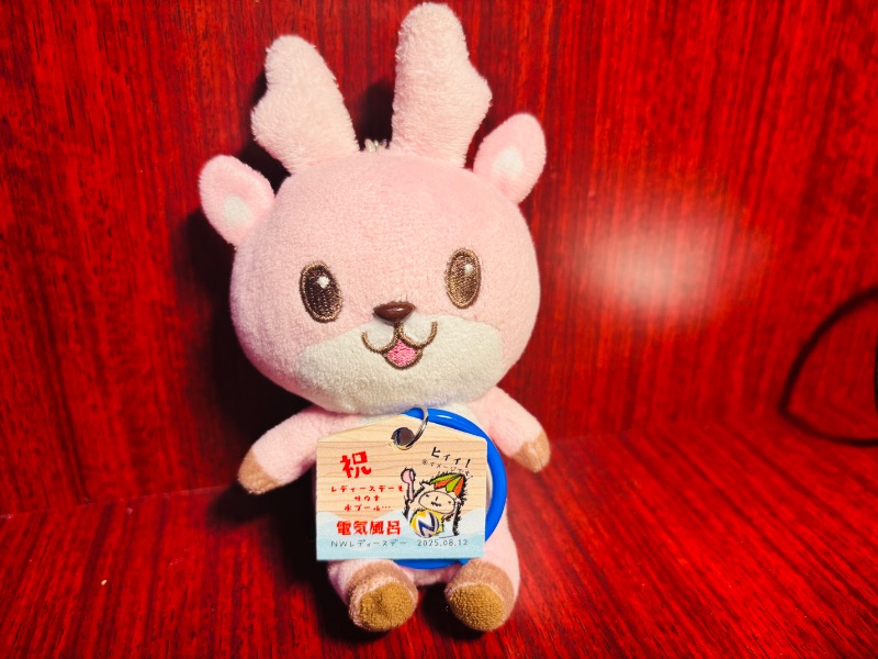 ぺぺさんのスパ&カプセル ニューウイングのサ活写真